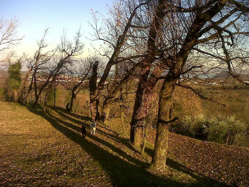 Bio B&B Vivere la Vita Polpenazze del Garda Bed & Breakfast