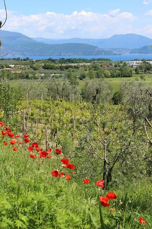 Bio B&B Vivere La Vita Polpenazze del Garda 0*,  Italy